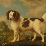 Dogs of the 18th Century